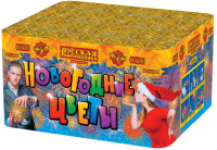 Новогодние цветы Фейерверк купить в Котовске | kotovsk.salutsklad.ru