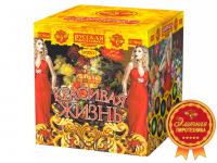 Красивая жизнь Фейерверк купить в Котовске | kotovsk.salutsklad.ru