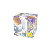 Новогодняя ночь Салют купить в Котовске | kotovsk.salutsklad.ru