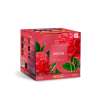 Пионы Салют купить в Котовске | kotovsk.salutsklad.ru