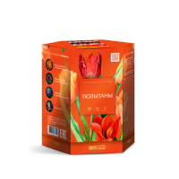 Тюльпаны Салют купить в Котовске | kotovsk.salutsklad.ru