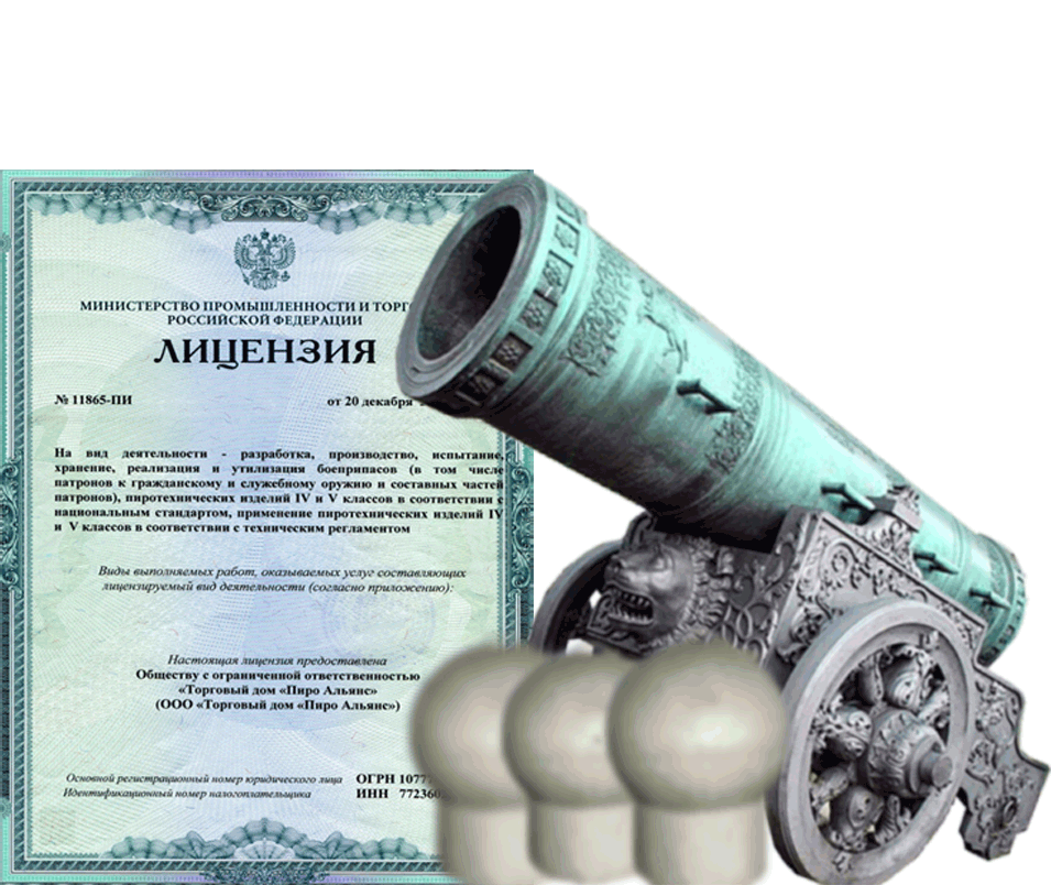 Заказать фейерверк на Новый Год - салют в Котовске