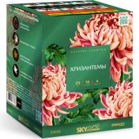 Хризантемы Фейерверк купить в Котовске | kotovsk.salutsklad.ru