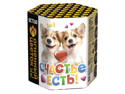 Счастье есть! Салют купить в Котовске | kotovsk.salutsklad.ru